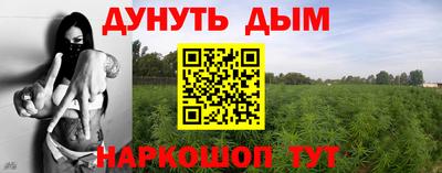 стаф Кунгур