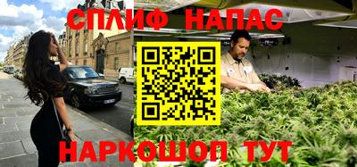 стаф Кунгур