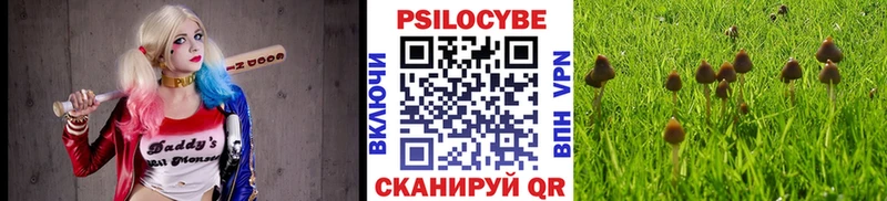 Галлюциногенные грибы прущие грибы  Карабулак 